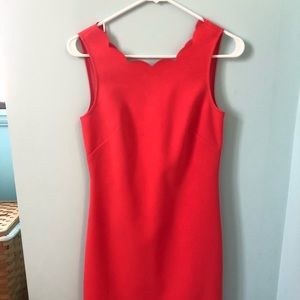 J. Crew Scalloped Neck and Trim Dress